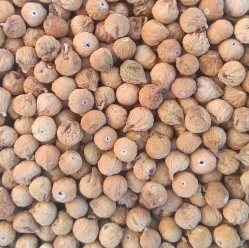 خرید و فروش انجیر خشک معمولی + خرید از باغ دار